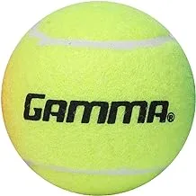 GAMMA Bag of Pressureless Tennis Balls