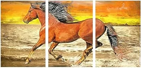 Markat S3TC5070-0157 ثلاث لوحات من قماش اللوحات لتزيين جمال الحصان ، مقاس 50 سم × 70 سم