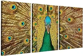 Markat S3TC5070-0283 لوحات طاووس قماشية مزخرفة بثلاث لوحات ، مقاس 50 سم × 70 سم