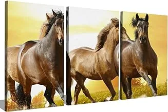 Markat S3TC5070-0193 ثلاث لوحات من قماش اللوحات لتزيين الحصان الأصيل ، مقاس 50 سم × 70 سم