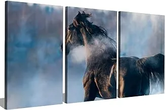 Markat S3TC6090-0355 ثلاث لوحات من قماش اللوحات لتزيين جمال الحصان ، مقاس 60 سم × 90 سم