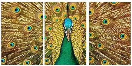 Markat S3TC6090-0283 لوحات طاووس قماشية مزخرفة بثلاث لوحات ، مقاس 90 سم × 60 سم