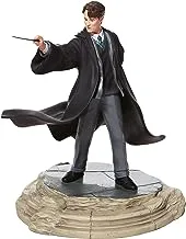 Enesco Harry Potter Tom Riddle I am Lord Voldemort Lit Figurine, 9 Inch, Multicolor