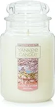 Yankee Candle Sakura Blossom Festival Large Jar Candle, White, Rose