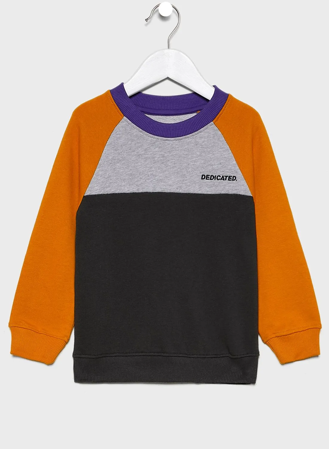 DEDICATED Kids Color Block Sweatshirt