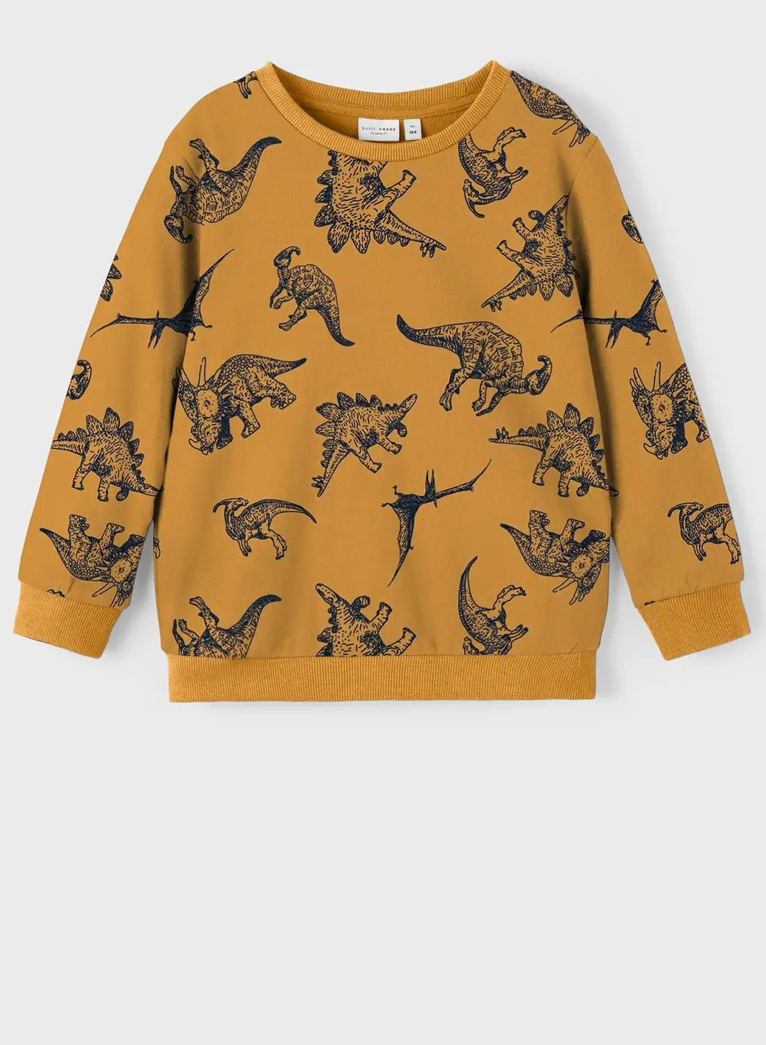 NAME IT Kids Dinosaur Sweatshirt