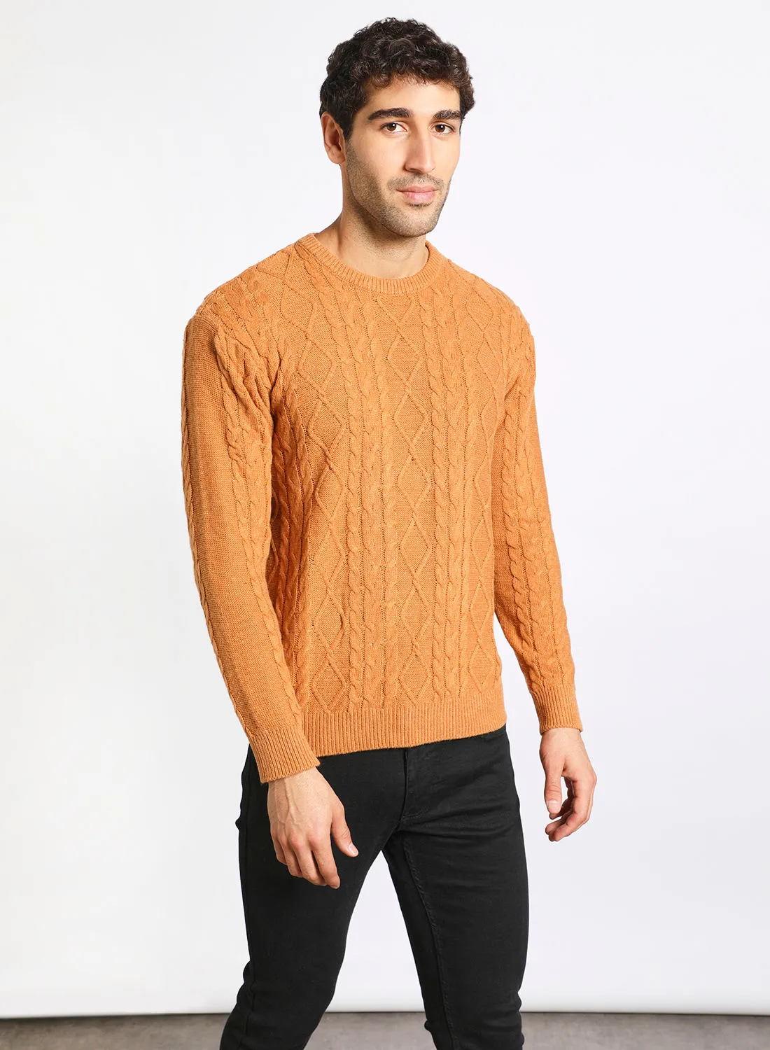Noon East Men's Solid Plain Knitted Patterned Full Sleeves Sweater For Winters , Round Neck Full Sleeves Orange
