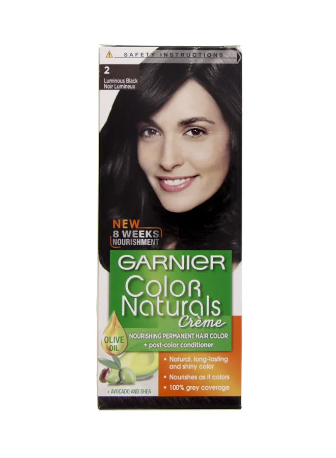 Garnier Permanent Hair Color 2.0 Luminous Black 112ml