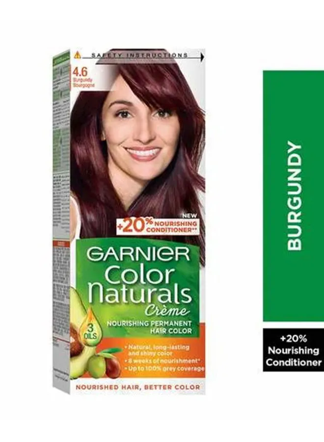 Garnier Color Naturals Permament Hair Color Cream 4.6 Burgundy