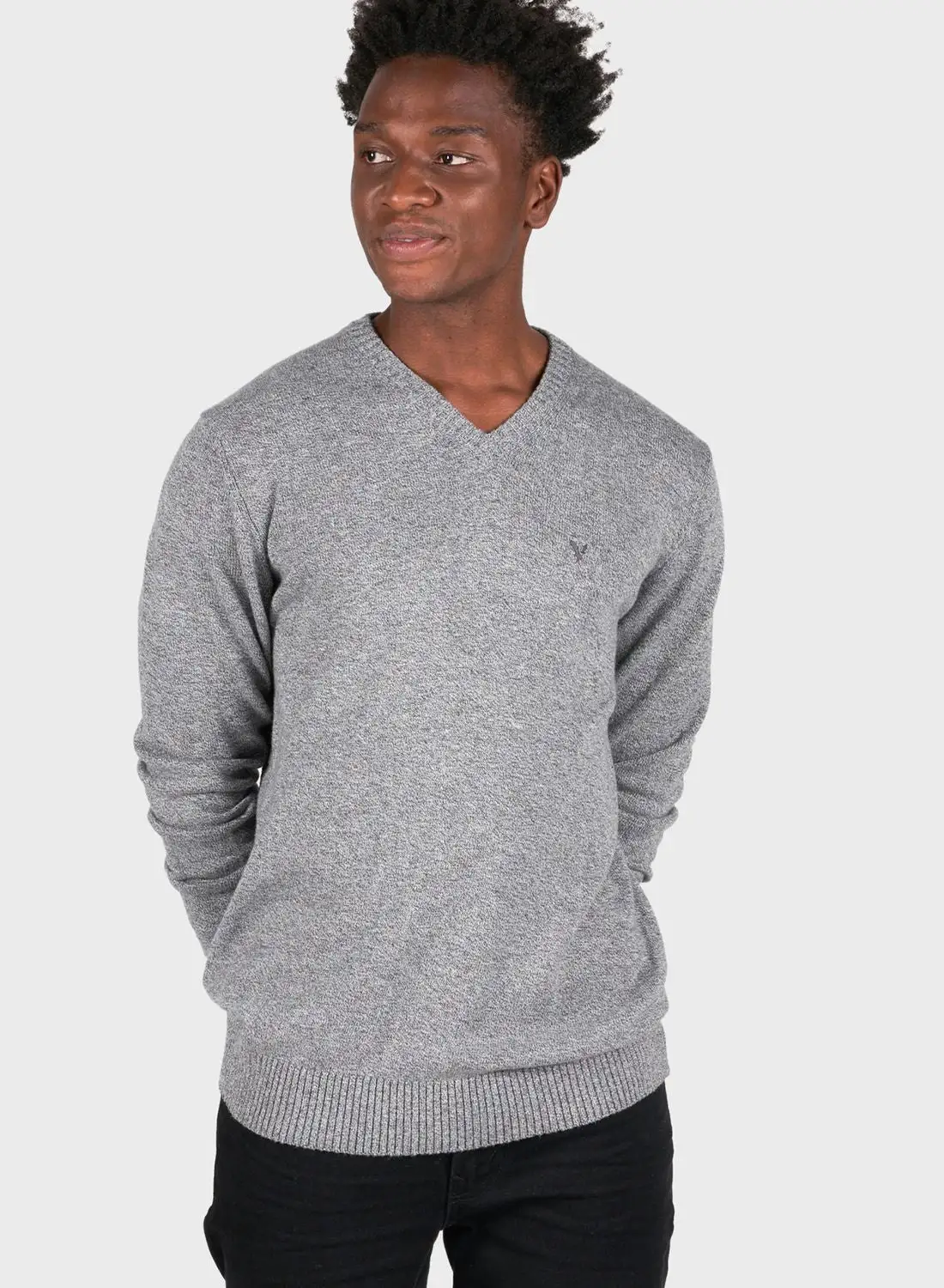 American Eagle Essential V-Neck Sweater