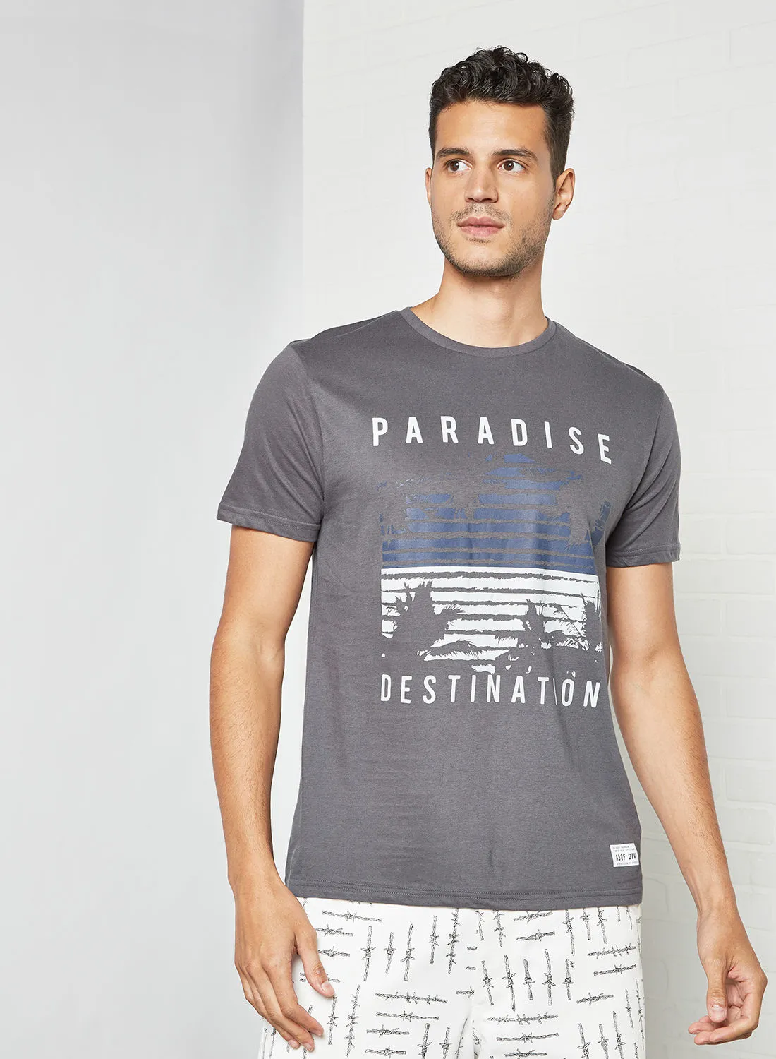 ABOF Paradise Destination Printed Regular Fit Crew Neck T-Shirt Asphalt