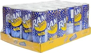 Rani Float Mango, No Added Sugar, 100% Fruit Juice, 240ml (Pack of 24 cans)