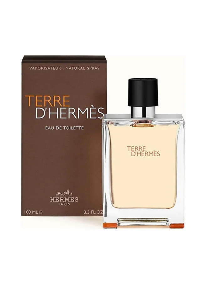 HERMES Terre D'Hermes EDT 100ml
