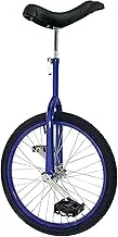 Fun 20 Inch Wheel Unicycle with Alloy Rim, Blue