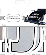 Wedding Car Magnet Decorating Kit, 5in, 11pcs
