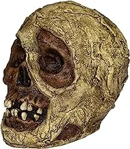 Mummy Skull