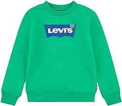 Levi's Boys Batwing Crewneck Sweatshirt19079