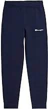 Champion Mens Legacy Authentic Pants - Script Logo Powerblend Fleece Rib Cuff Sweatpants
