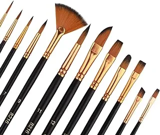 ECVV Artist Paint Brush Set of 12pcs, Professional Painting Brushes Kit for Body Art, Face, Nail Art, Beginners Experts Paint Brushes, for Kids Adults