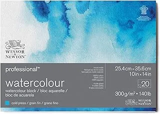 كتلة ورق الألوان المائية الاحترافية من وينسور آند نيوتن، 25.4 سم × 35.56 سم، مضغوطة على البارد