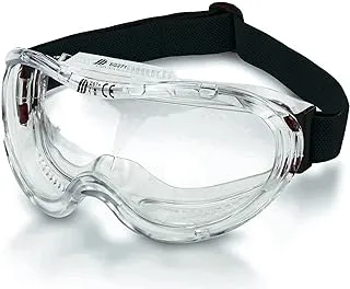 NEIKO Pro 53875B Clear Protective Lab Safety Goggles Chemistry, & Texas Instruments TI-30XIIS Scientific Calculator