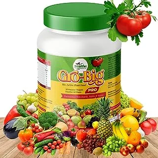Gro-Big Plant Nutrients Organic Soluble Fertilizer 1KG Flower, Vegetable & Fruit Feed | All Purpose Plant Food for Indoor & Outdoor - Garden Fertilizer