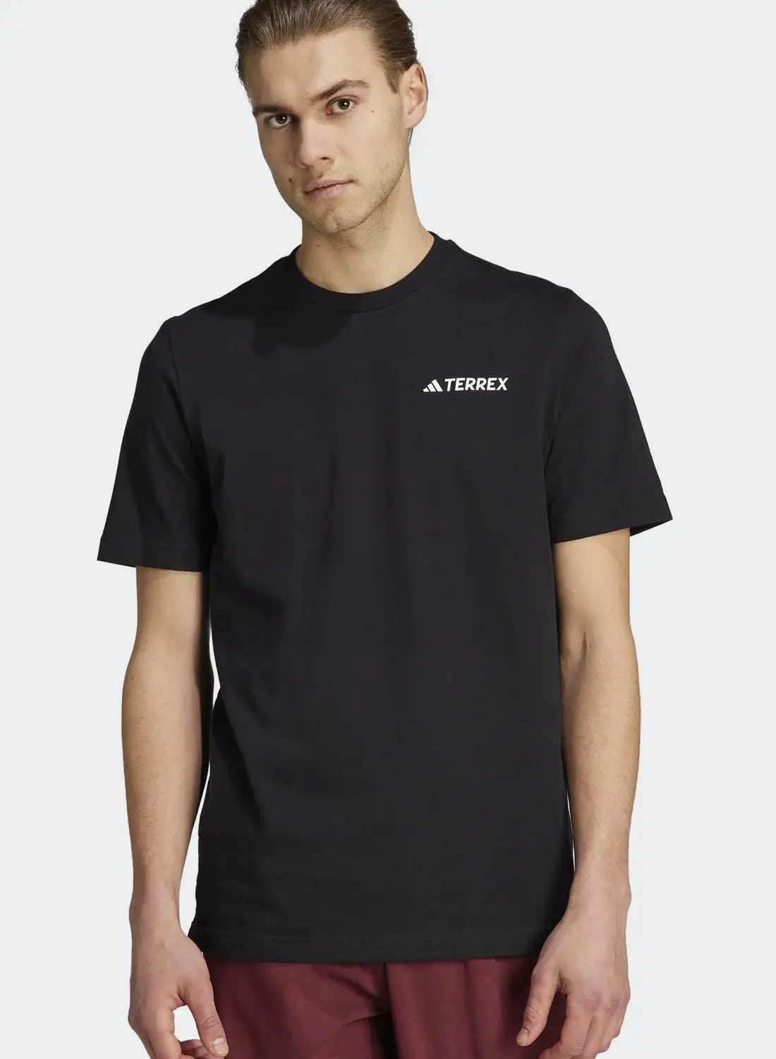 Adidas Terrex Graphic Mtn 2.0 T-Shirt