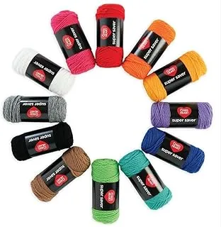 Red Heart Super Saver Super Yarn Craft Kit for Knitting, Crocheting, Crafts & Amigurumi Projects