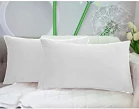 In House 2-Piece Velvet Rectangular Decorative Seat Cushion 30x50cm - Milky