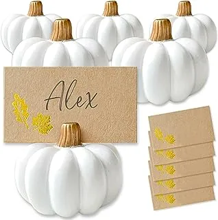 Kate Aspen Rustic Pumpkin Table Décor, Thanksgiving, Fall Themed Weddings, White