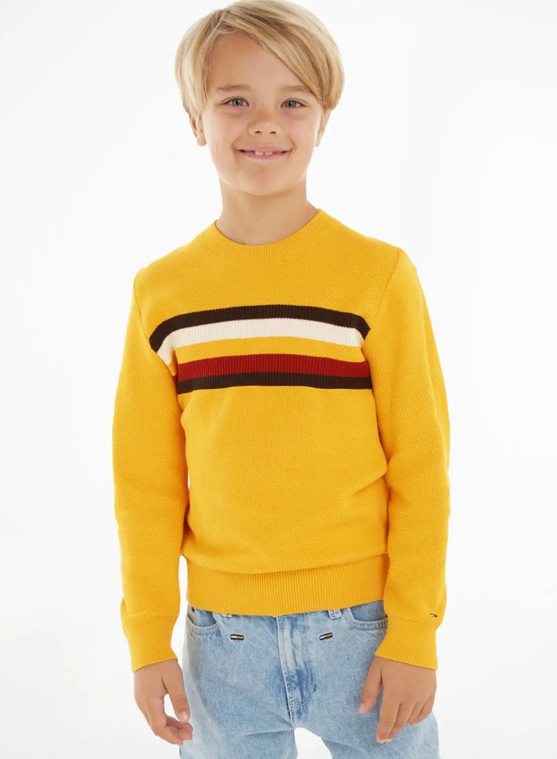 TOMMY HILFIGER Kids Striped Sweater