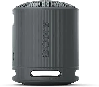 Sony XB100 Portable Wireless Speaker (Black)