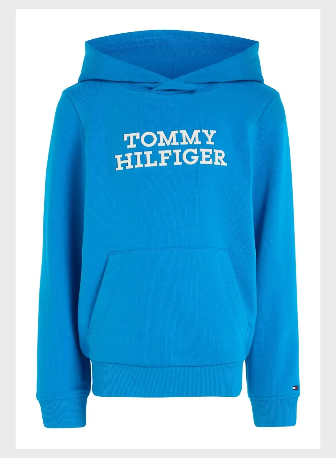 TOMMY HILFIGER Kids Logo Hoodie