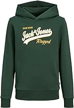 Jack & Jones boys LOGO SWEAT HOOD JUNIOR Sweatshirt