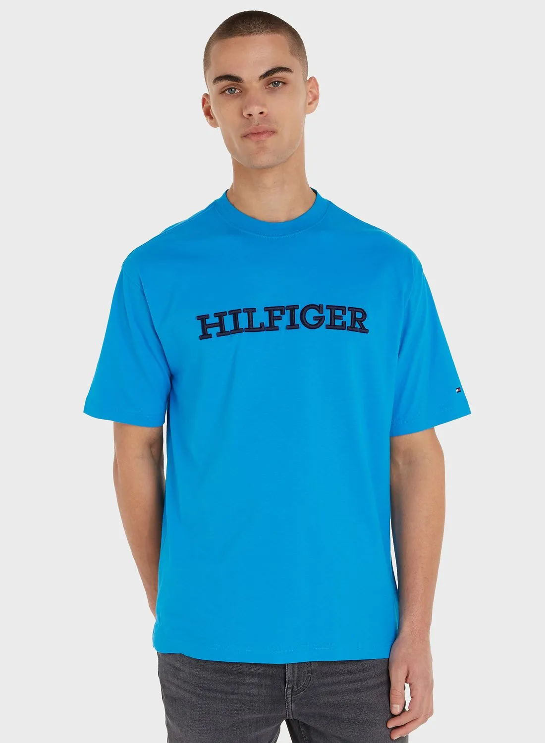 TOMMY HILFIGER Logo Crew Neck T-Shirt
