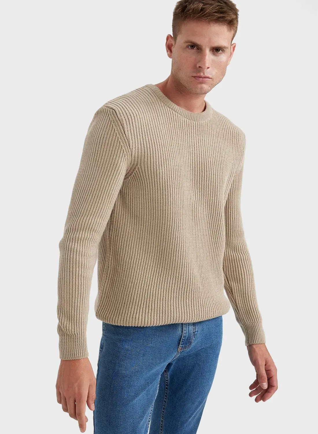DeFacto Crew Neck Knitted Sweater