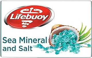 Lifebuoy Sea Minerals Bar 160 g