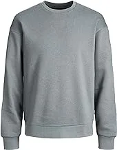 Jack & Jones mens JJESTAR BASIC SWEAT CREW NECK-NOOS Sweatshirt (pack of 1)