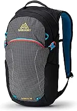 Gregory Unisex Nano 18 Backpack (pack of 1)