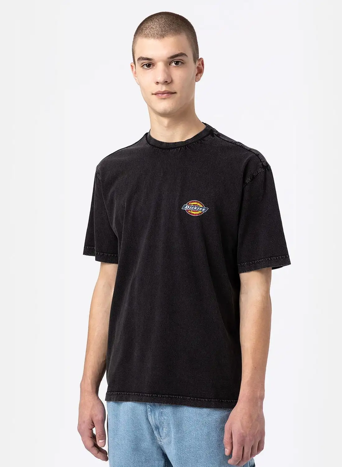 Dickies Icon Washed T-Shirt