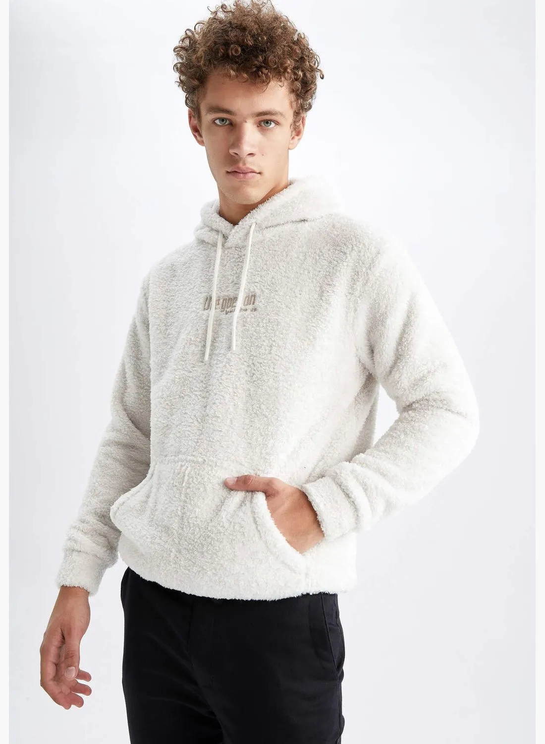 DeFacto Man Regular Fit Hooded Long Sleeve Knitted Sweatshirt