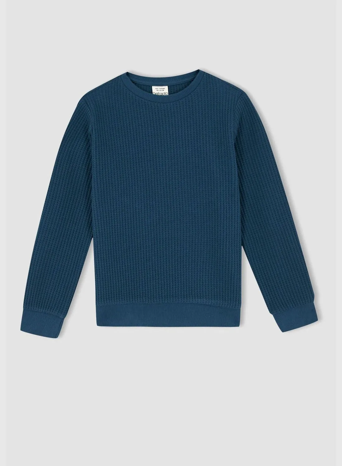 DeFacto Boy Regular Fit Crew Neck Long Sleeve Knitted Sweatshirt