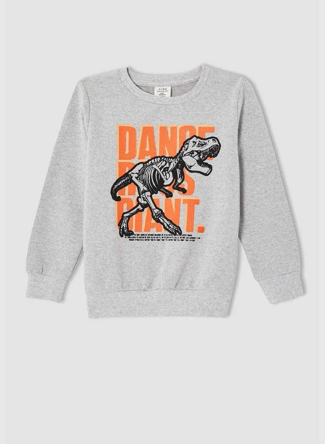 DeFacto Regular Fit Hooded Dinosaur Print Sweatshirt