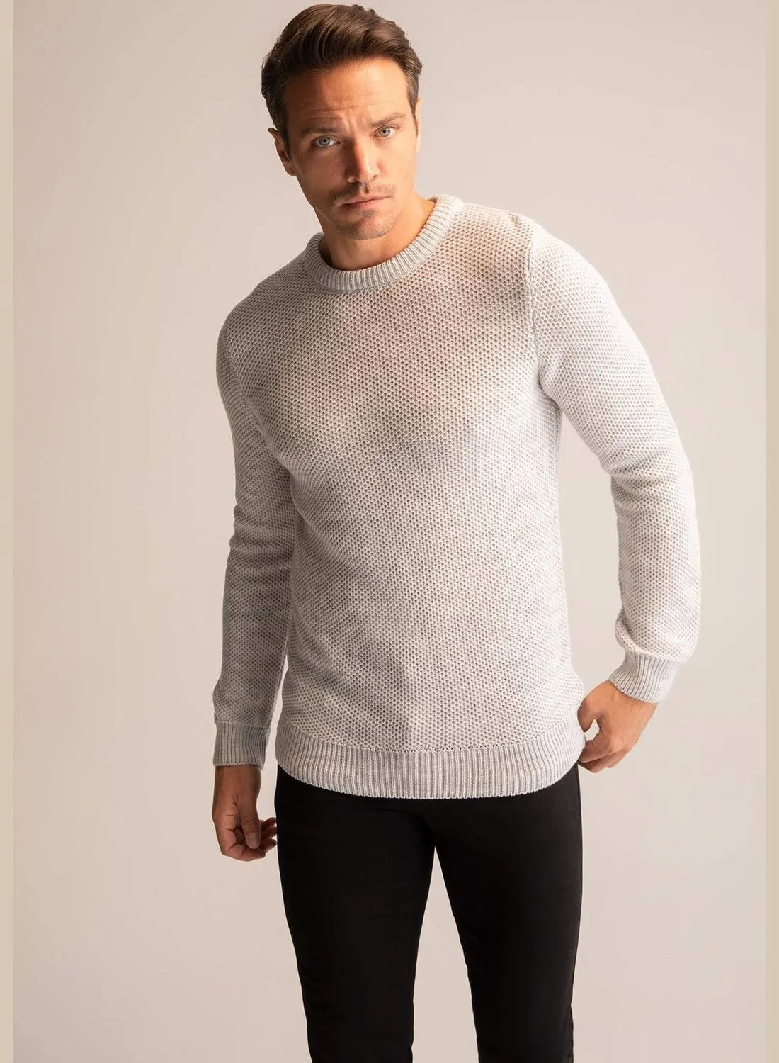 DeFacto Man Regular Fit Tricot Pullover