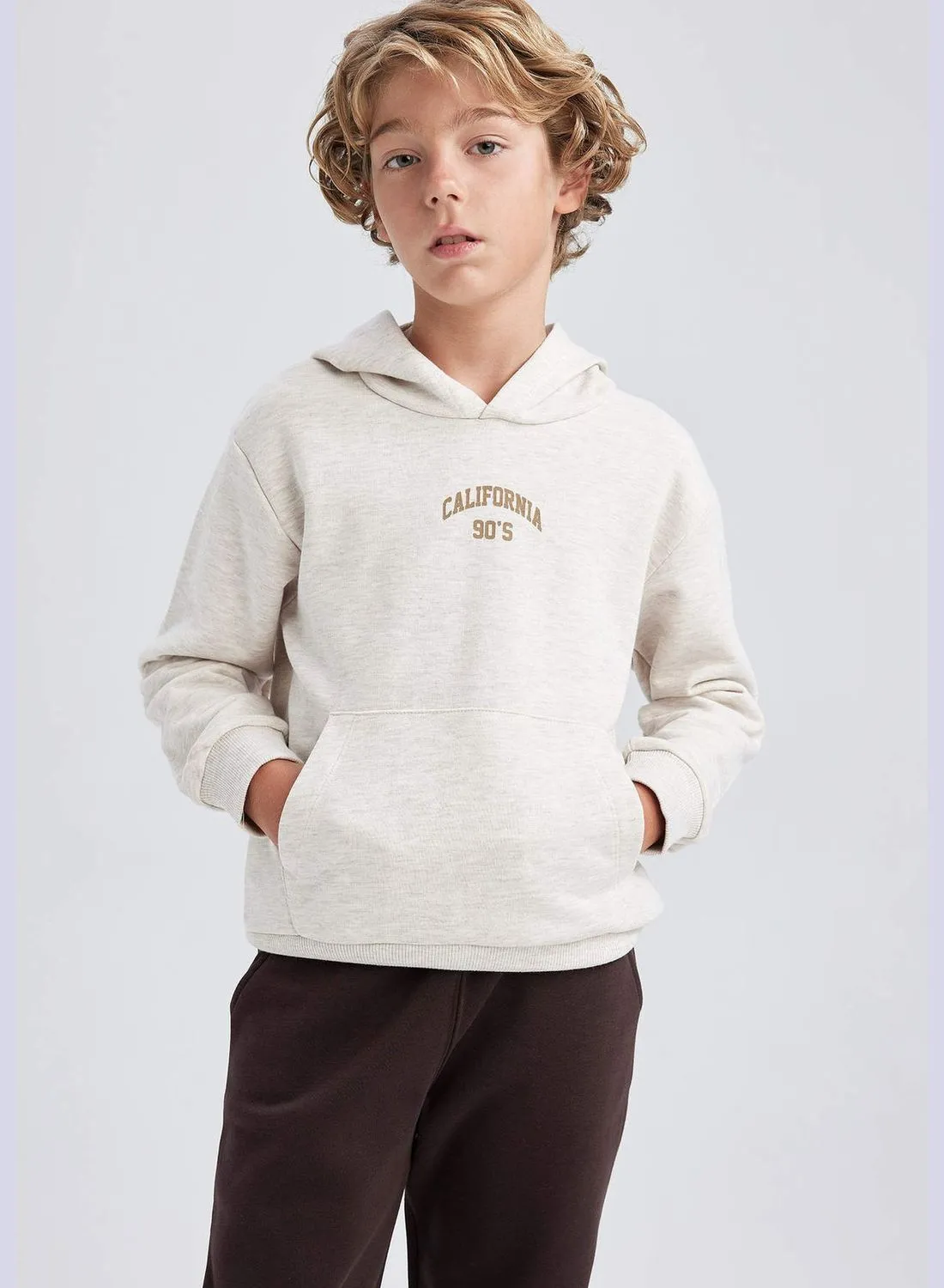 DeFacto Boy Hooded Long Sleeve Knitted Sweatshirt