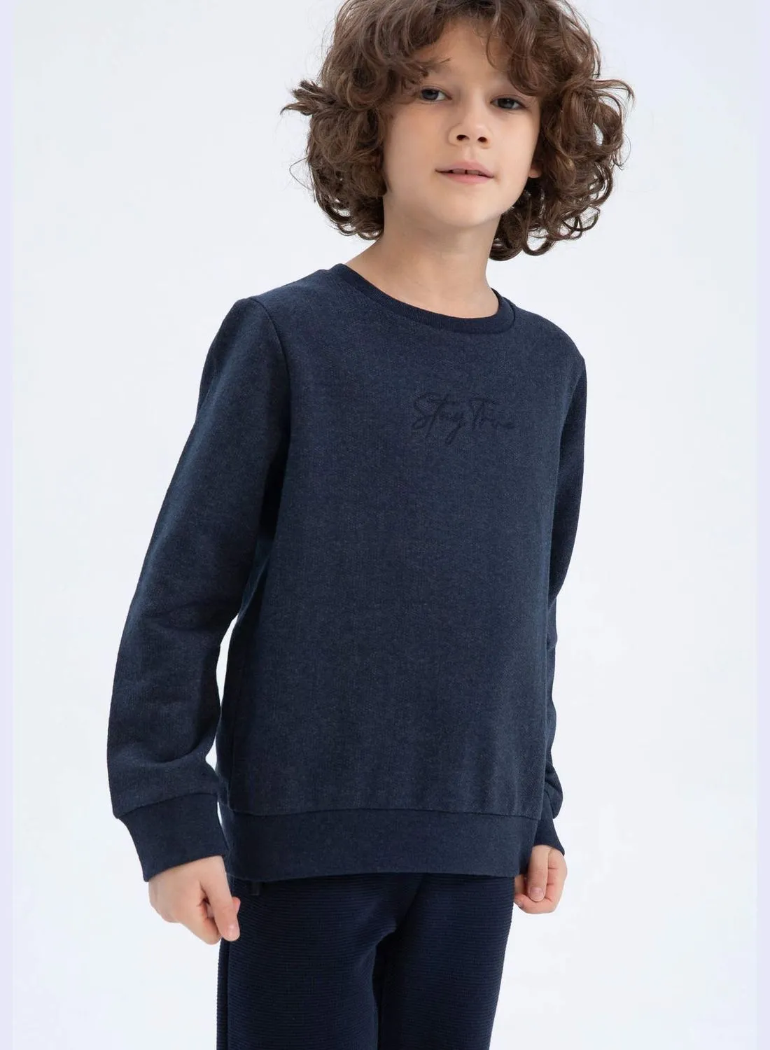 DeFacto Boy Crew Neck Long Sleeve Knitted Sweatshirt