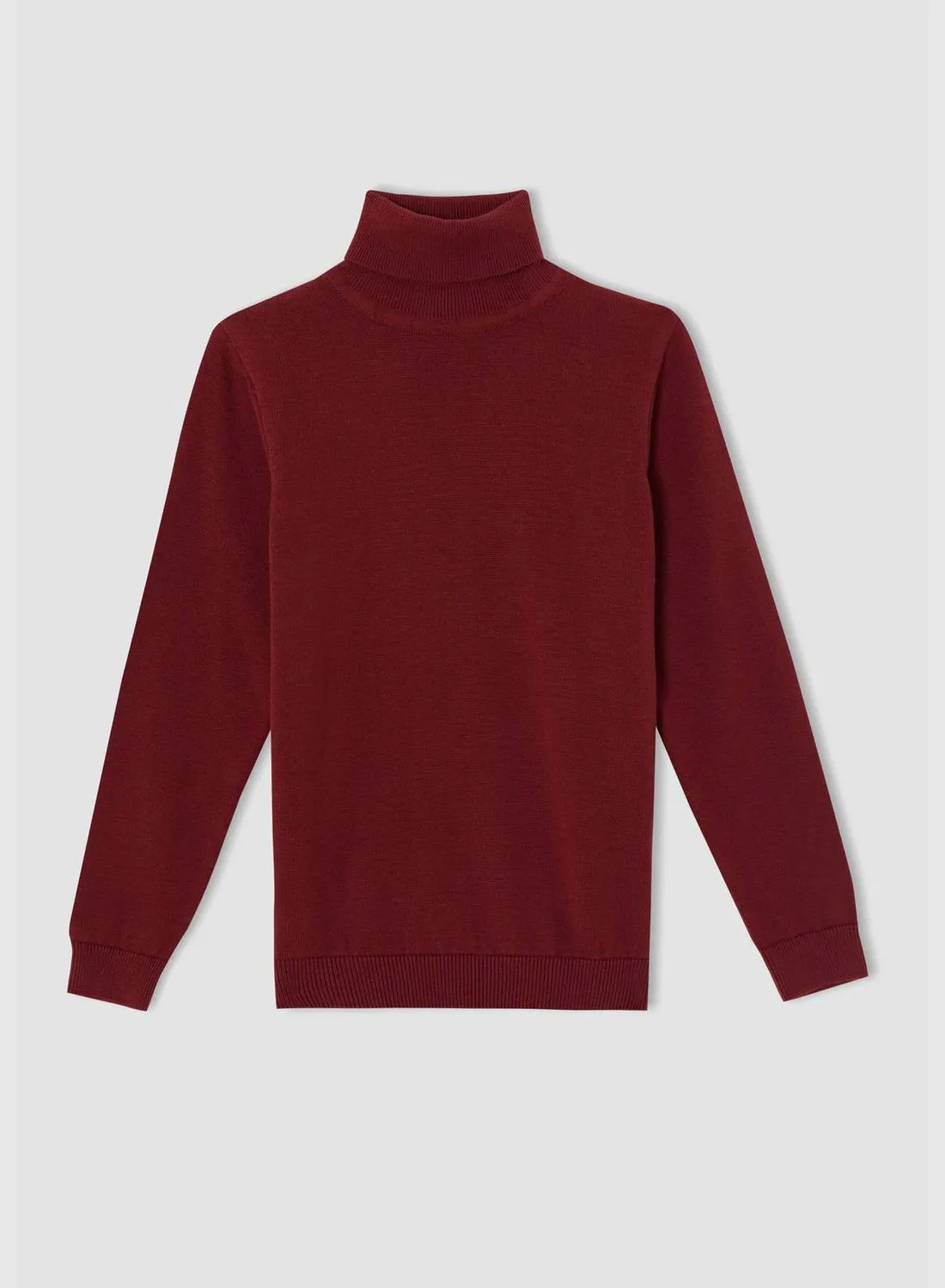 DeFacto Slim Fit Turtleneck Knitwear Sweater