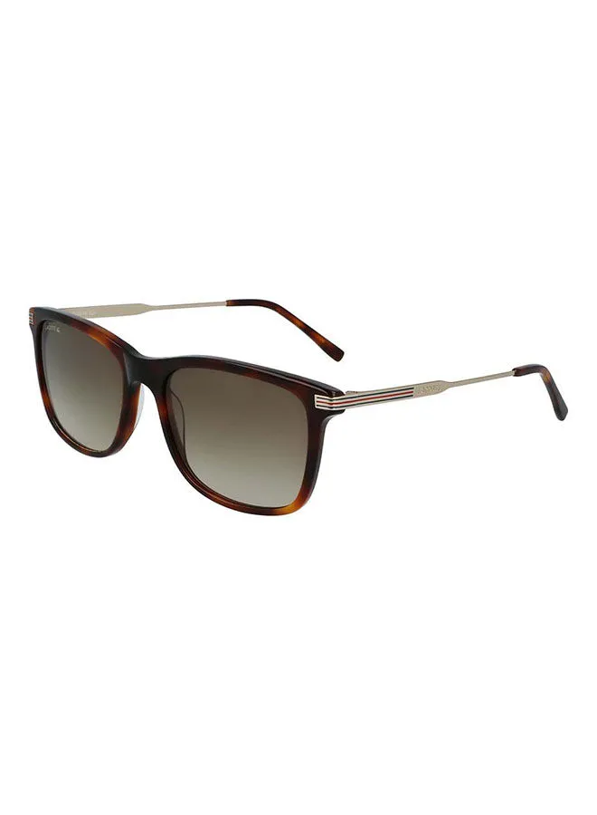LACOSTE Men's Full Rim ZYL Modified Rectangle Sunglasses  L960S-230-5618