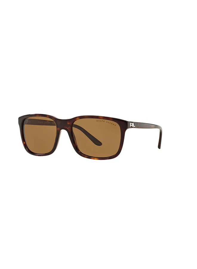 RALPH LAUREN Men's Aviator Eyewear Sunglasses 8142