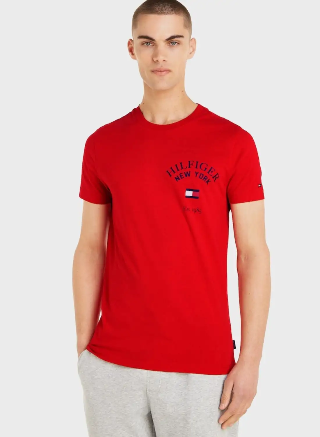 TOMMY HILFIGER Varsity Crew Neck T-Shirt